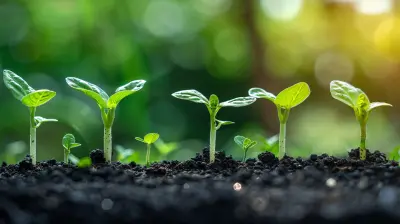 Exploring How Plants Grow: Conducting Seed Germination Experiments