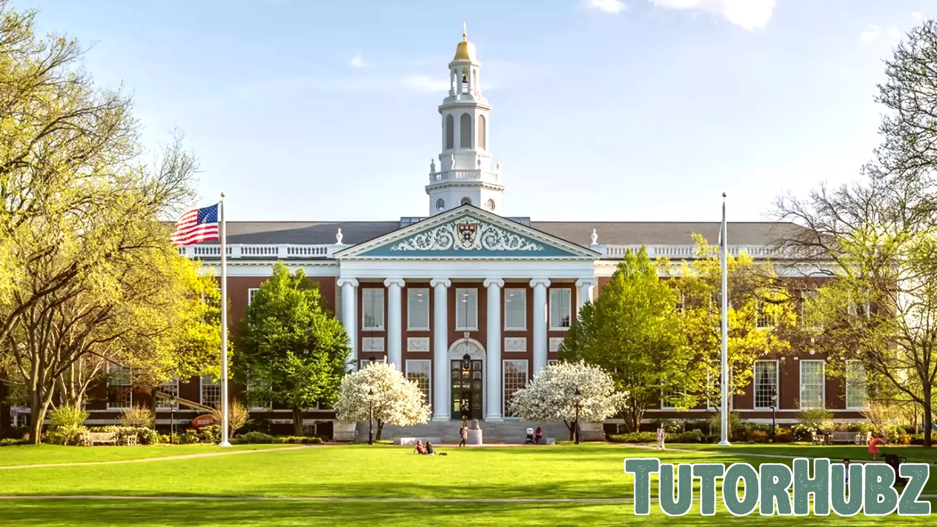 A Call for Radical Reform in American Higher Education