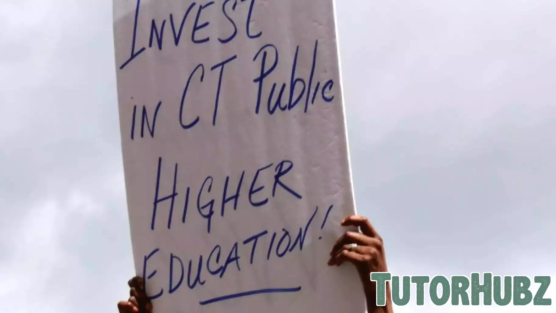Connecticut Faculty Advocate for Arms Embargo on Israel