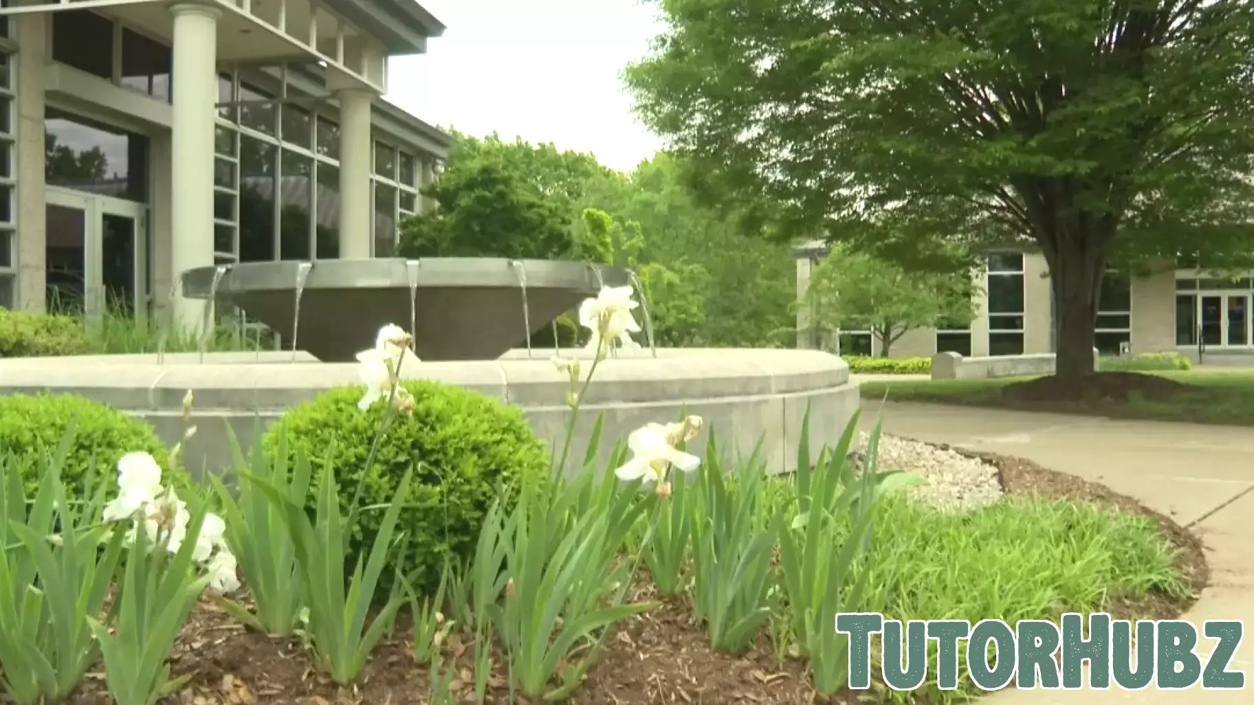 Louisville Schools Stand Firm Against Trump's Higher Education Policies on DEI