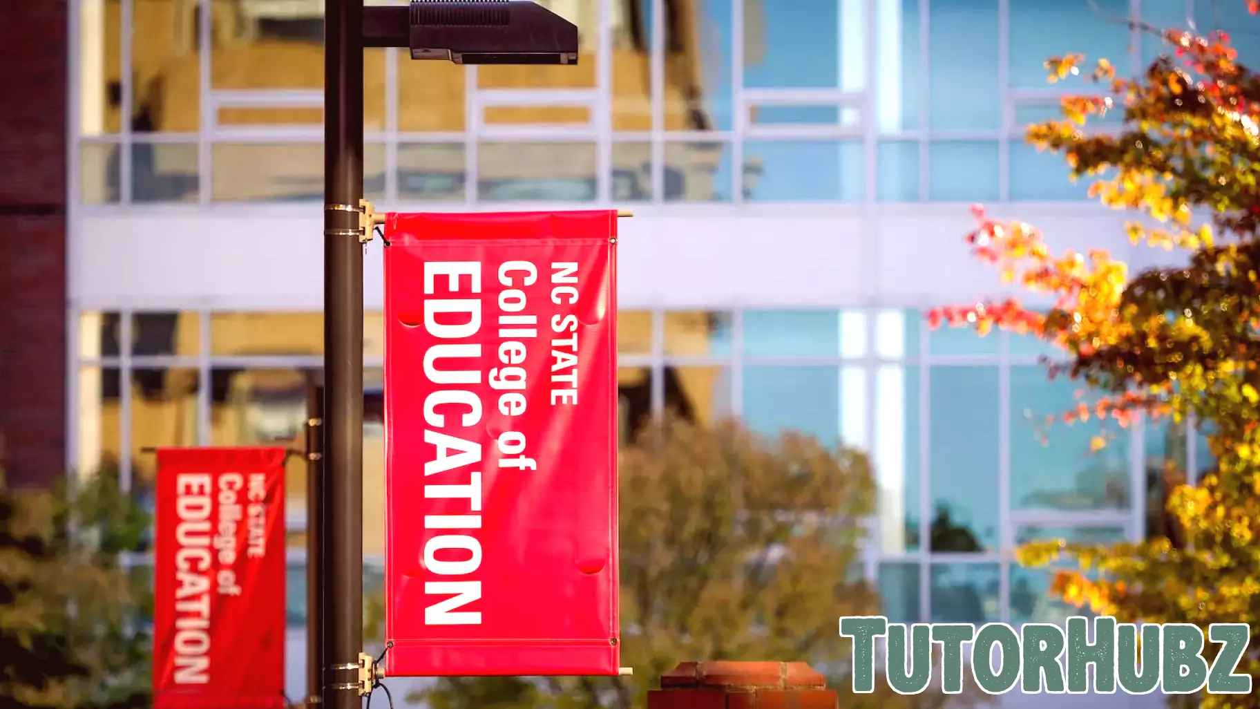 My Student Experience: Students Explore Education Policy Issues through Advocacy in Action Policy Fellowship | College of Education News