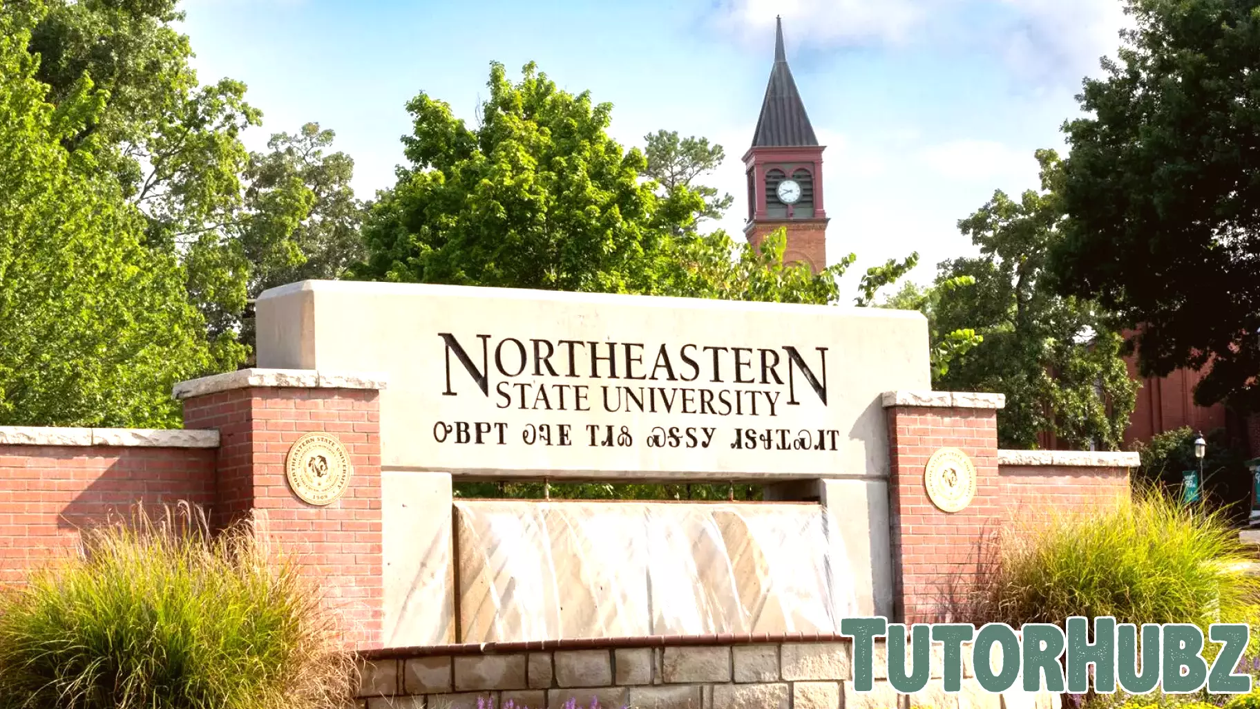 NSU expands pathway to teacher certification through state partnership