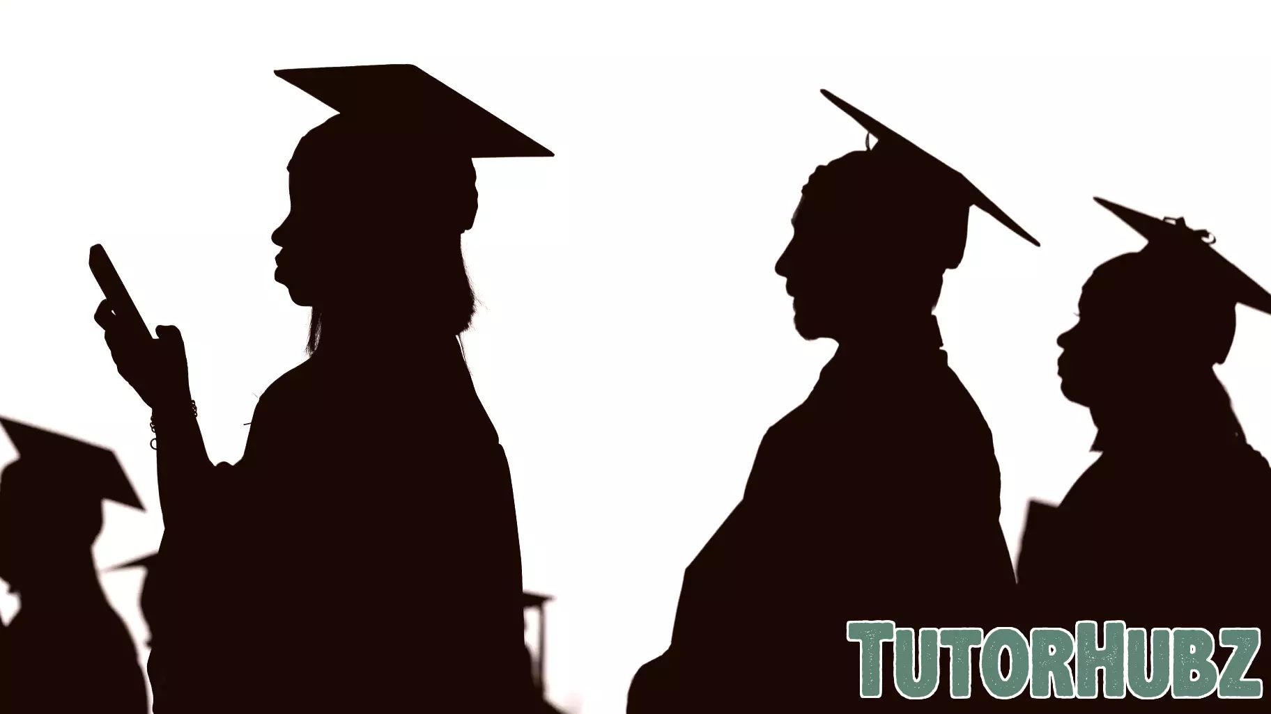 Prioritizing Quality Education Over DEI in University Accreditation