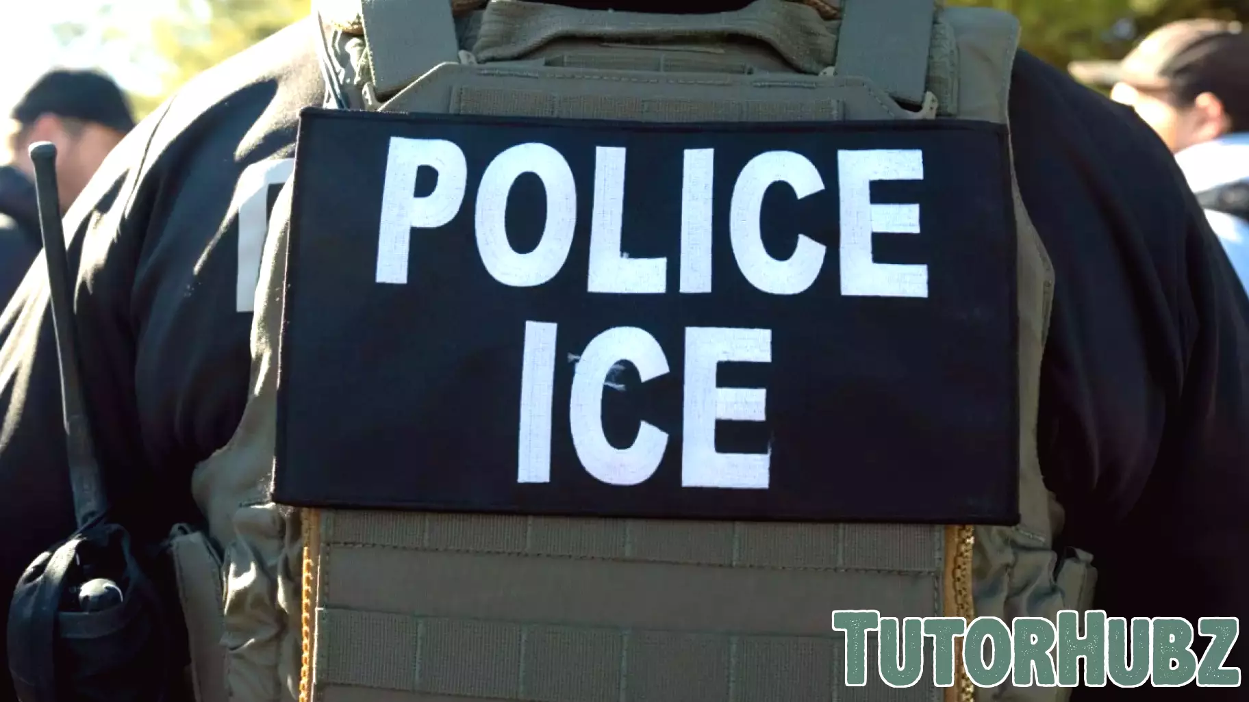 Teachers Unions Take Legal Action Against Immigration Policies