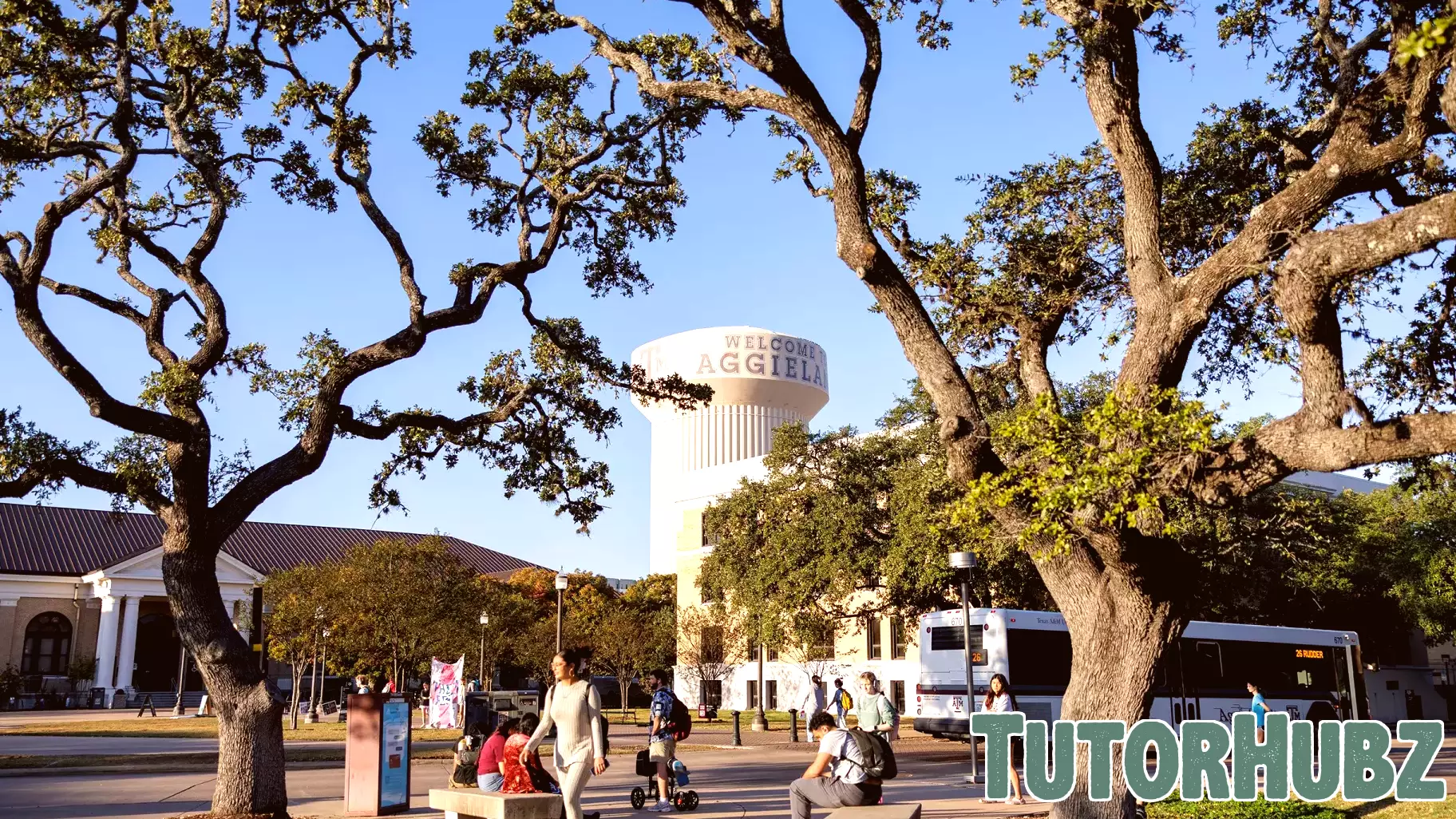 Texas college watchdog received nearly 70 complaints, opened 1 investigation, records show
