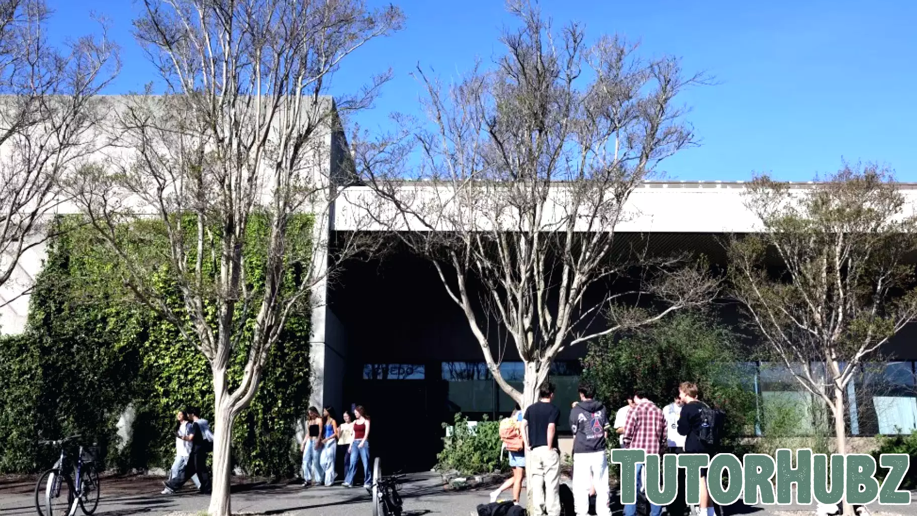 Three Sonoma County schools honored as ‘Distinguished Schools’ by state education board