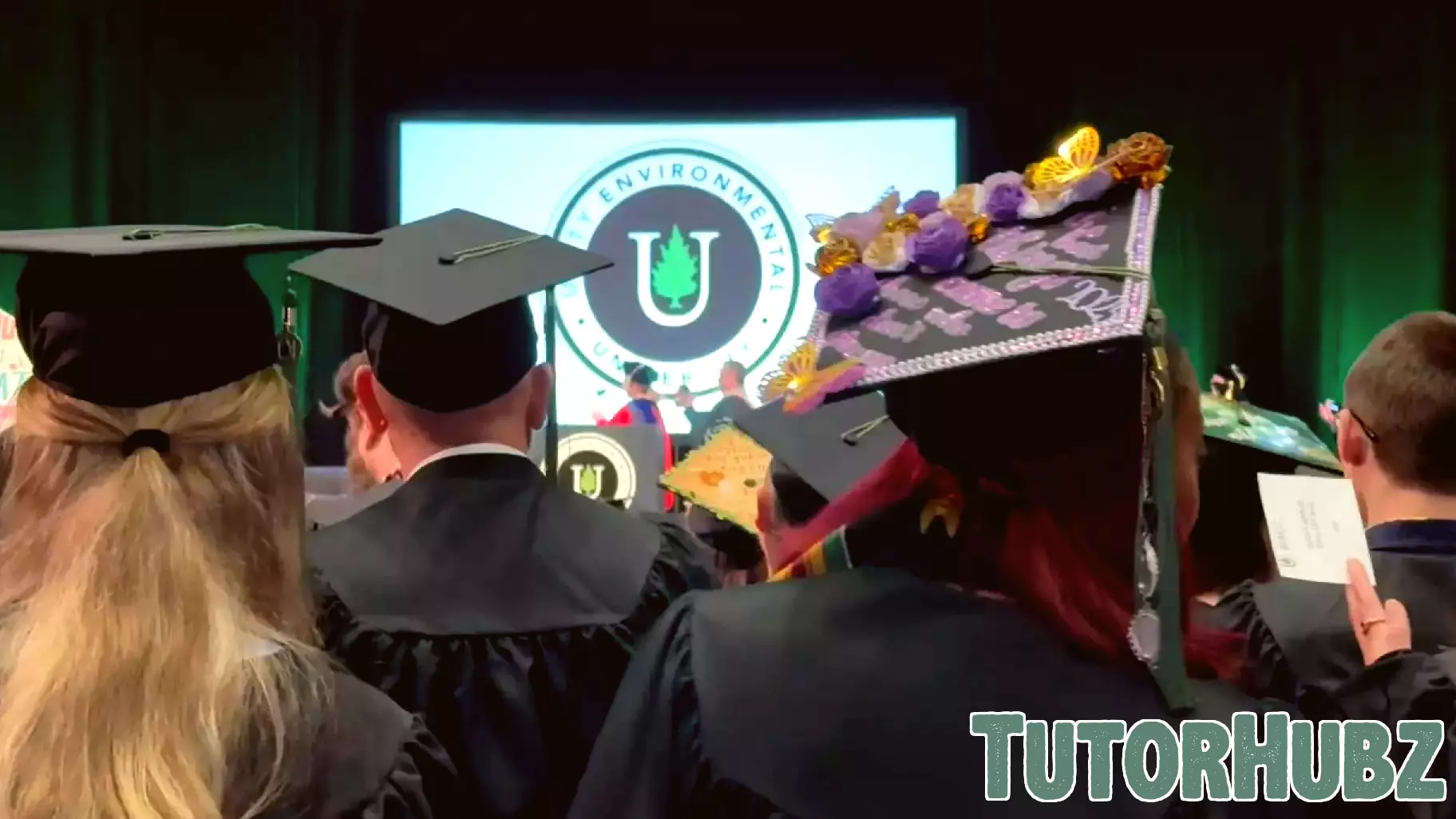 Unity Environmental University Introduces AI-Enhanced Degree Program