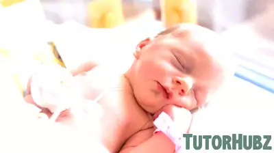 Child Respiratory Illnesses Linked to Lower Income, Education