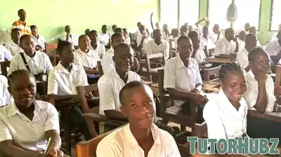 Free Education Is Crucial to Combating Child Labor