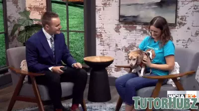 Highlighting Midwest Beagle Rescue's Upcoming Beaglefest
