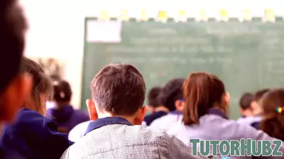 How to Save the US Education System