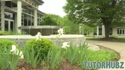 Louisville Schools Stand Firm Against Trump's Higher Education Policies on DEI