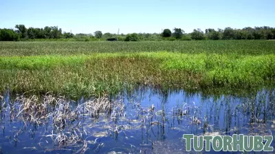 Midland's I-20 Wildlife Preserve: A Hub for Nature and Education
