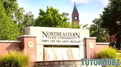 NSU expands pathway to teacher certification through state partnership