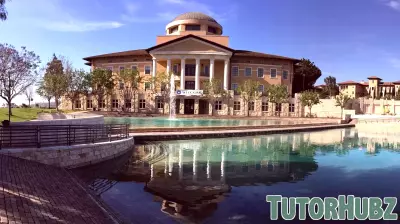 Revitalizing Higher Education Through Startup Institutions