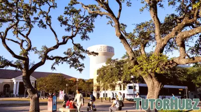Texas college watchdog received nearly 70 complaints, opened 1 investigation, records show