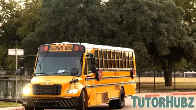 Texas Lawmakers Urge Education Agency for Immigration Guidance in Schools